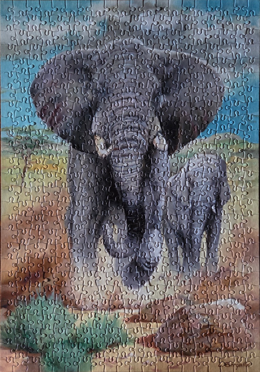 An adult elephant and calf standing in the African savanna at dusk.