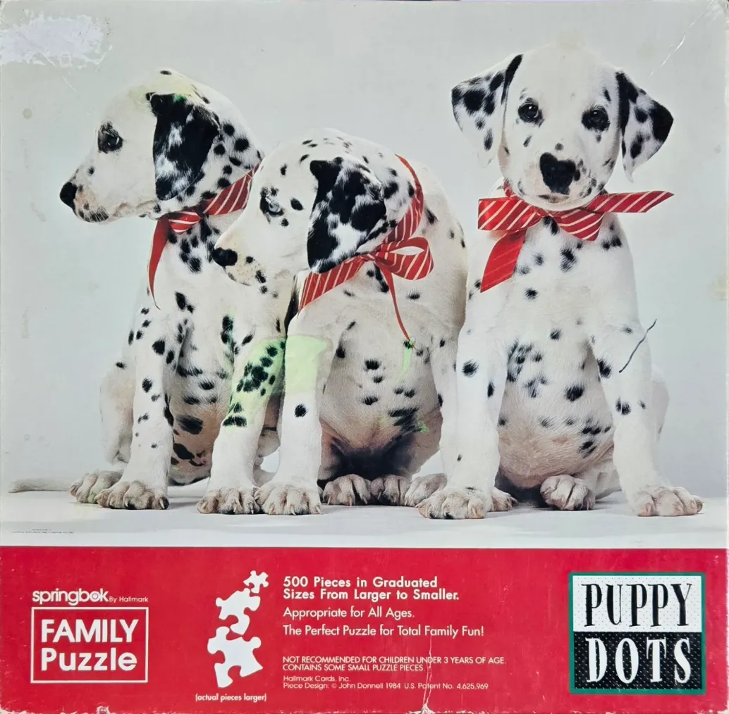 Three Dalmatian puppies sitting in a row, each wearing a red and white striped ribbon around their necks.