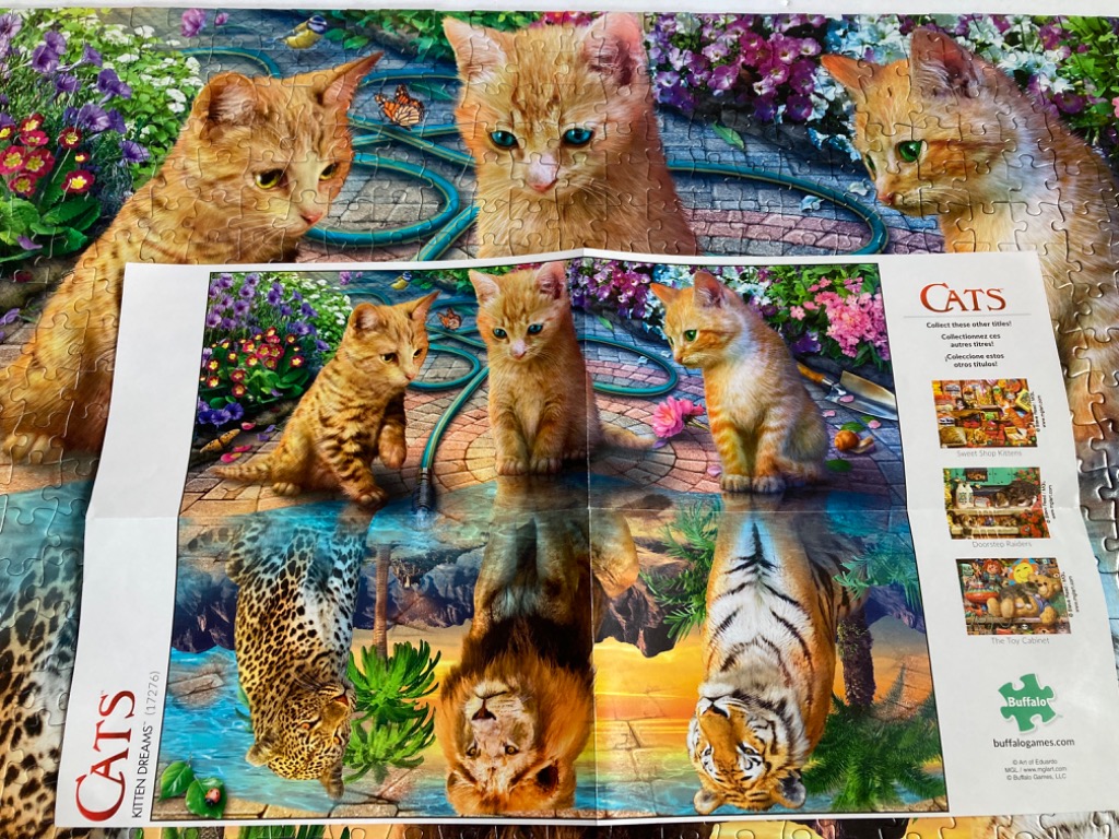 Three ginger kittens sitting in a garden with their reflections appearing as a leopard, a lion, and a tiger.