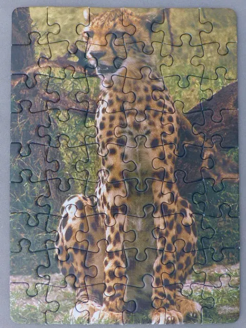 A cheetah sitting in a field in front of a tree.