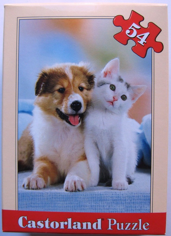 A puppy and a kitten sitting together on a soft blue surface.