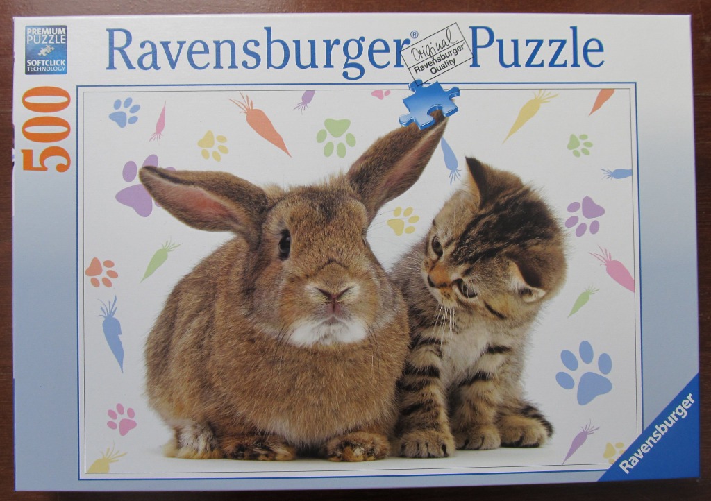 A brown rabbit and a tabby kitten sitting together against a white background with colorful animal tracks and carrot icons.