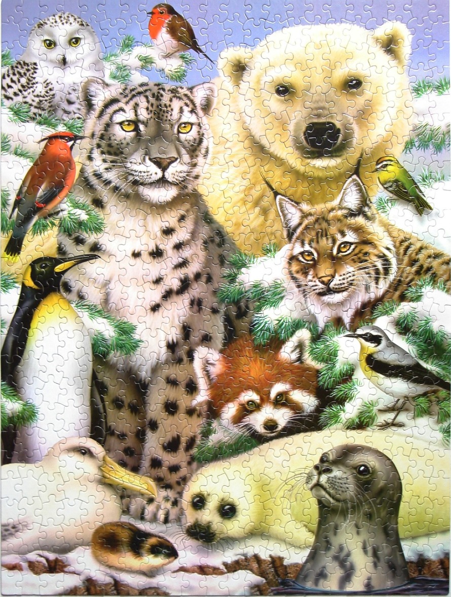 An illustration of various Arctic and wild animals gathered together in a snowy, evergreen setting.