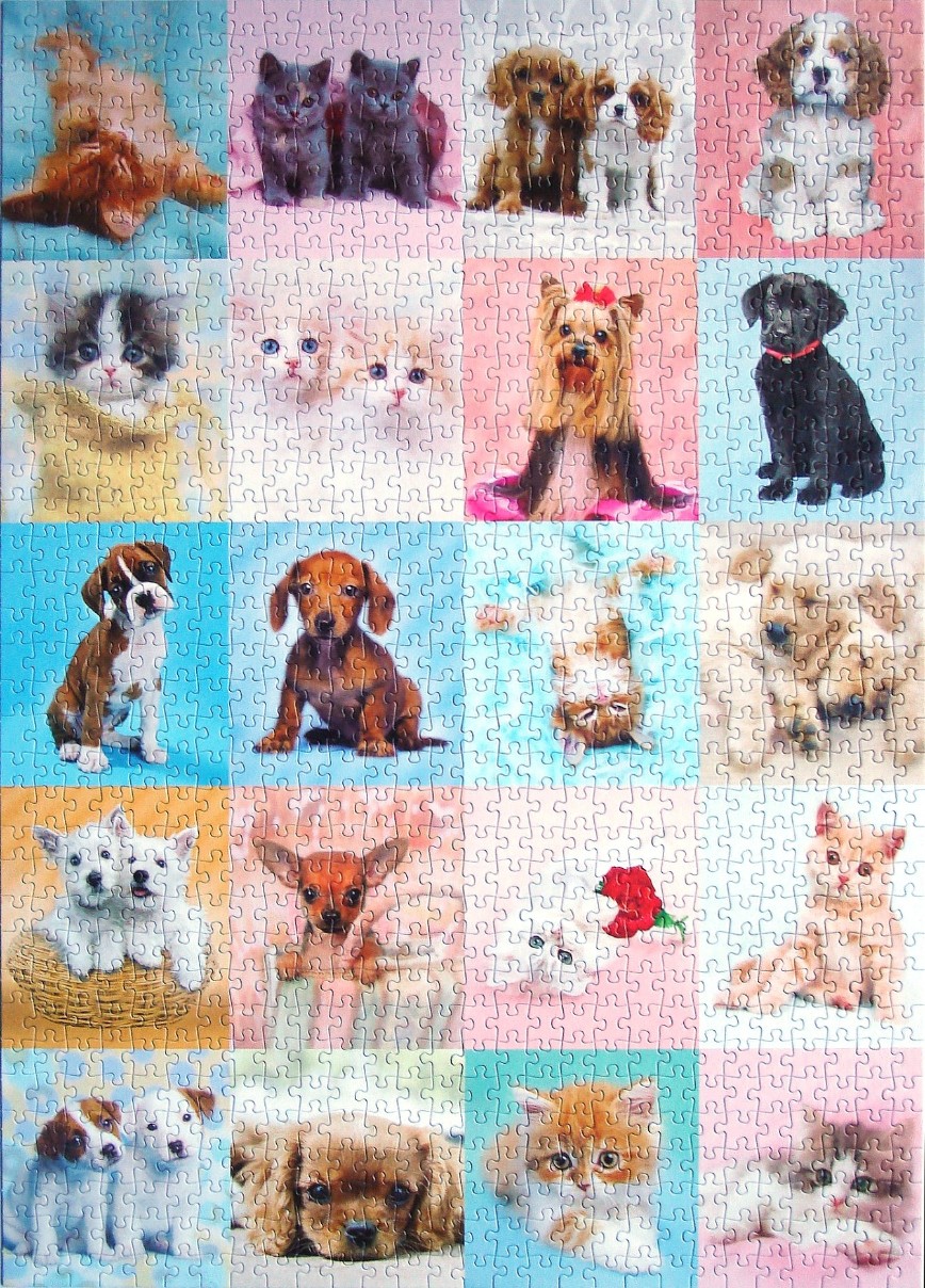 A grid of portraits featuring various puppies and kittens against colorful pastel backgrounds.