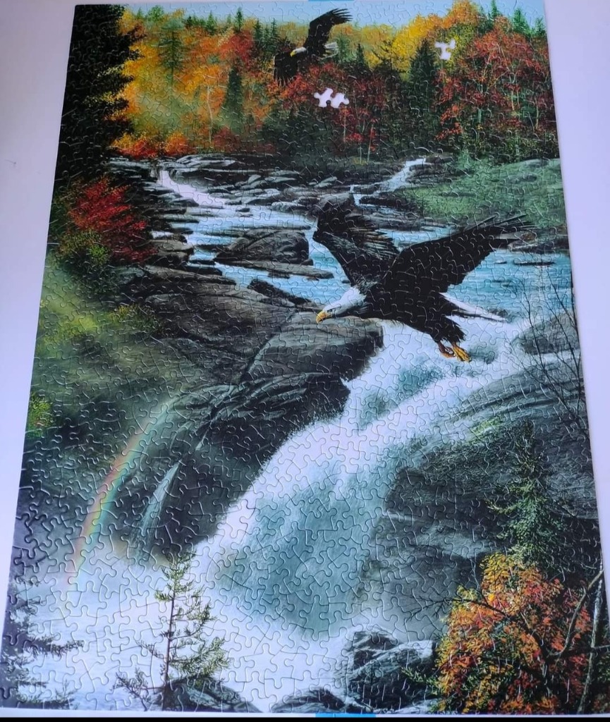 Two bald eagles flying over a waterfall in a vibrant autumn forest.