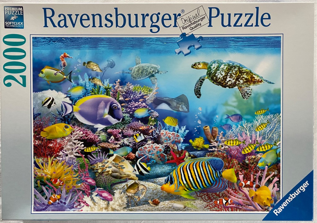 An underwater coral reef scene teeming with diverse tropical fish, sea turtles, and marine life.