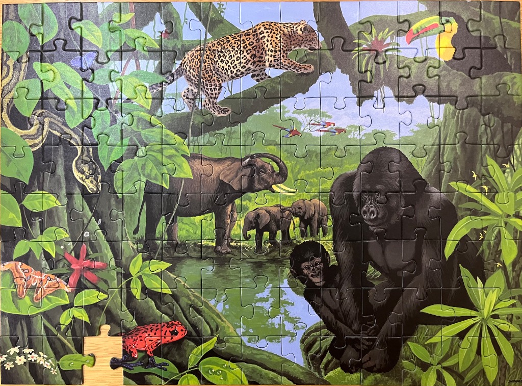 A lush rainforest scene featuring a leopard, gorilla, elephants, and other diverse wildlife.