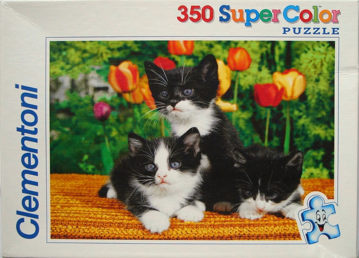 Three fluffy black and white kittens posing in a garden with orange and red tulips.