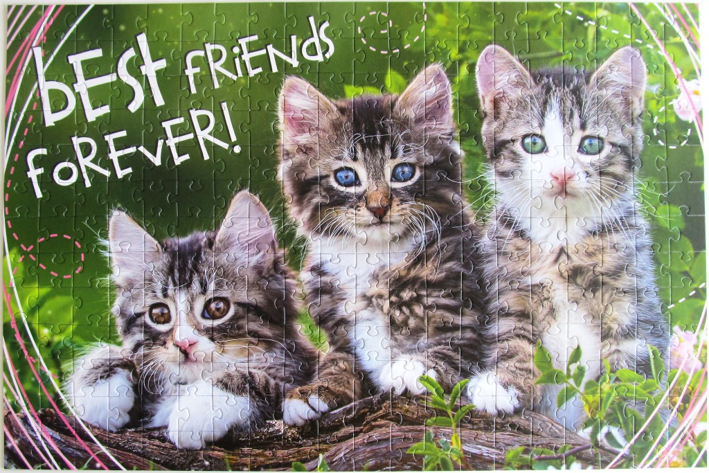 Three kittens sitting on a log with the text Best Friends Forever