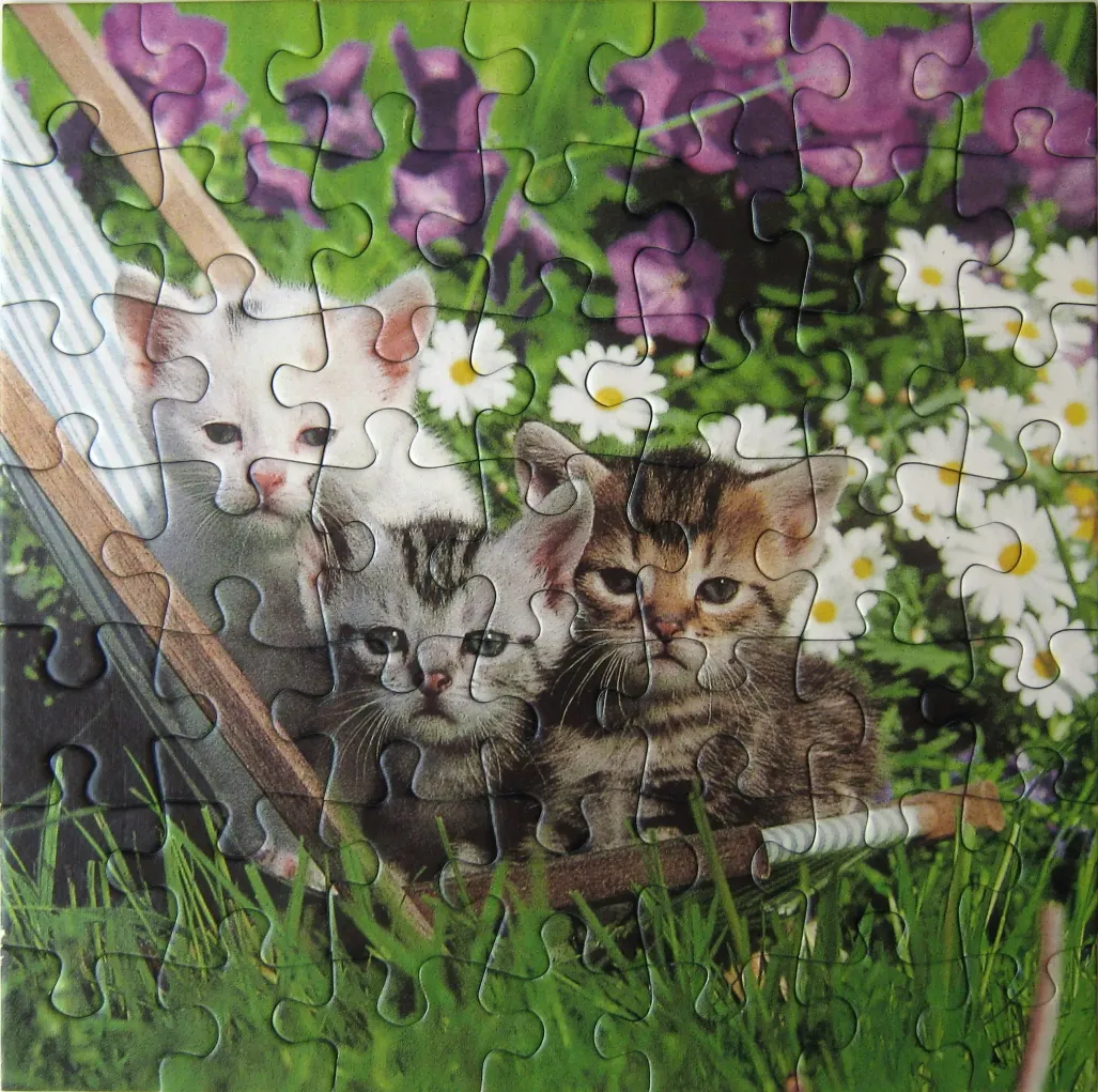 Three kittens sitting in a fabric garden chair surrounded by daisies and purple flowers.
