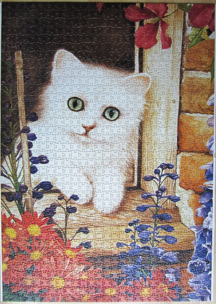 A fluffy white kitten with green eyes peeking out from a doorway surrounded by flowers.