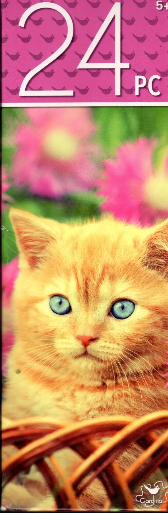 A close-up photograph of a fluffy orange kitten with bright blue eyes nestled in a wicker basket.