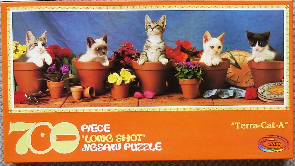 Five kittens sitting inside terracotta flower pots in a garden setting.