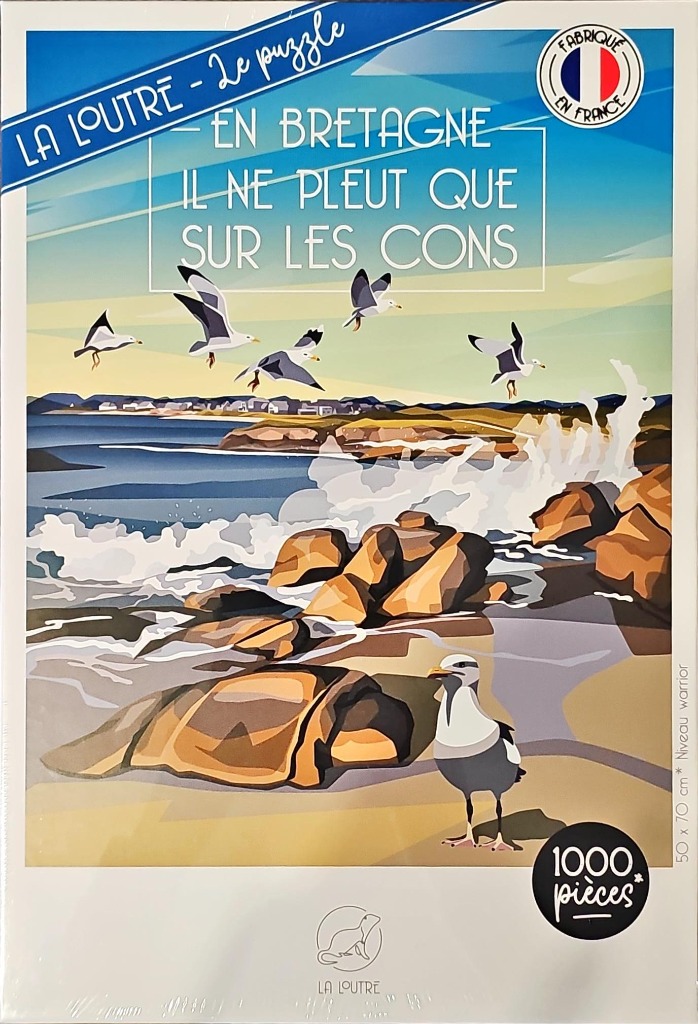 Graphic art illustration of a Breton coastline with seagulls flying over rocky shores and a sandy beach.