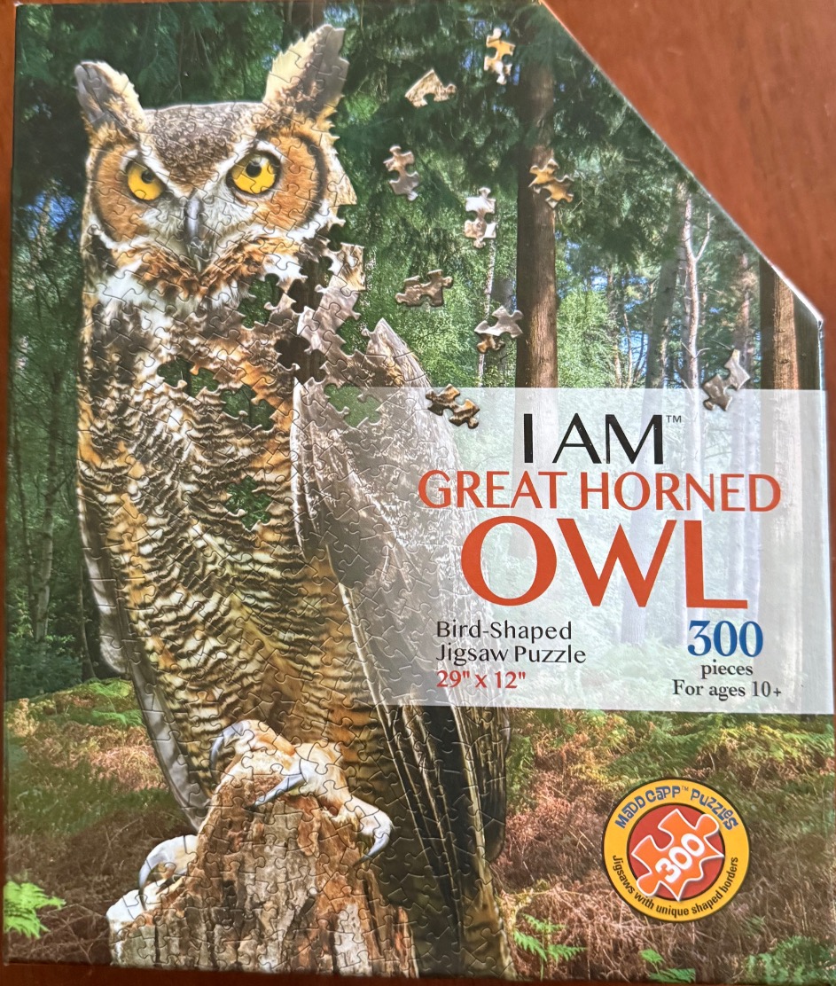 Great Horned Owl perched on a tree stump in a forest setting