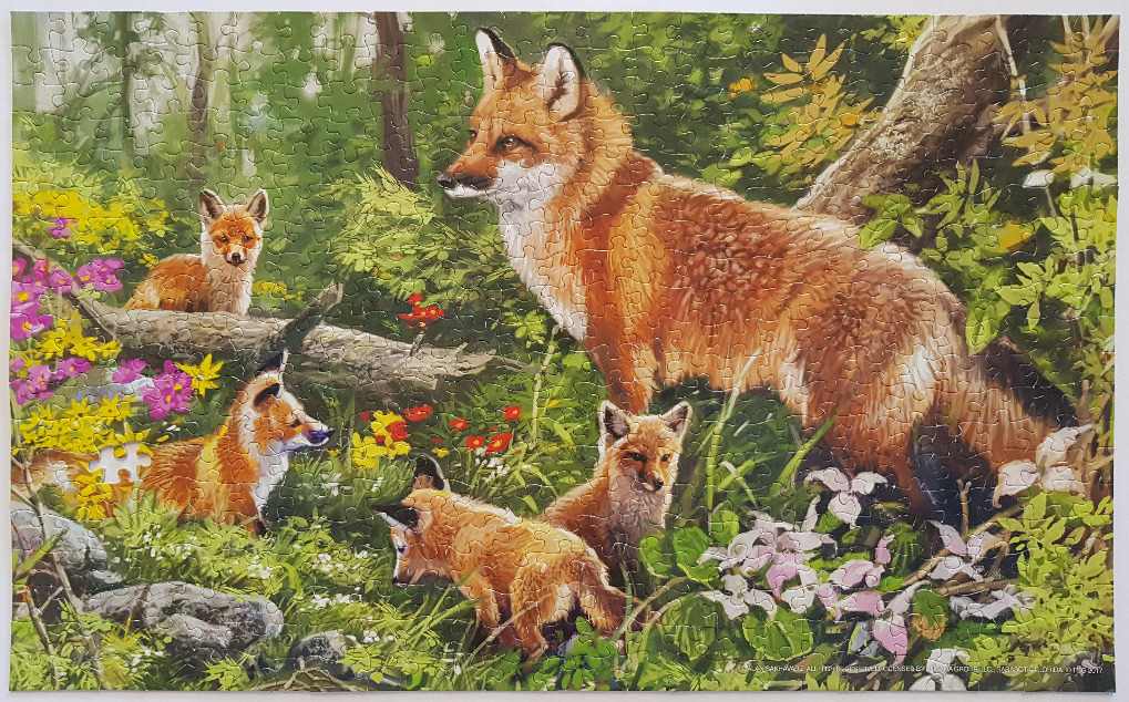 A red fox standing in a forest clearing with four playful kits among wildflowers.