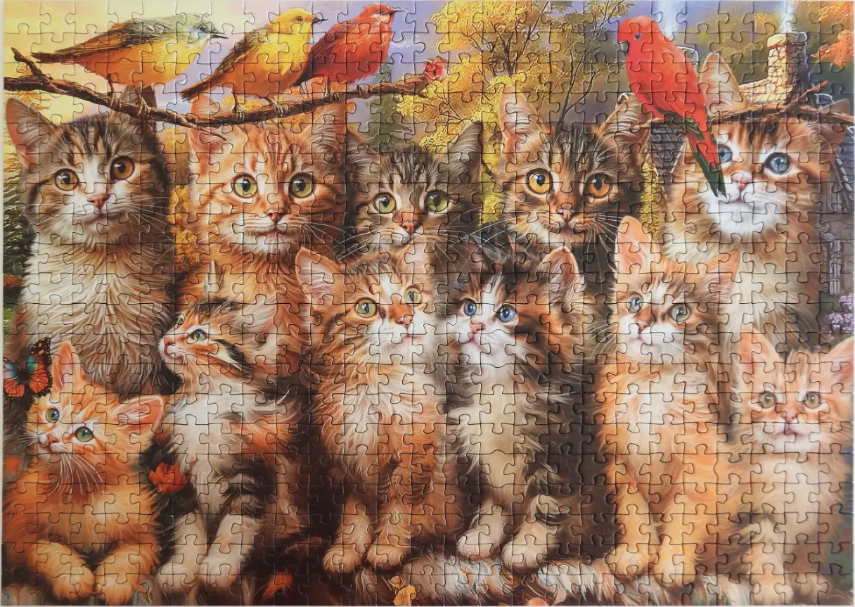 A group of diverse kittens posing together in an autumnal forest setting with birds.