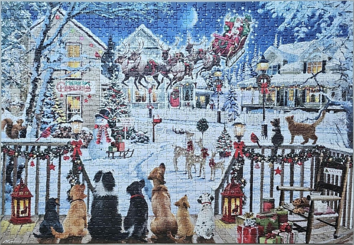 A group of dogs watches Santa