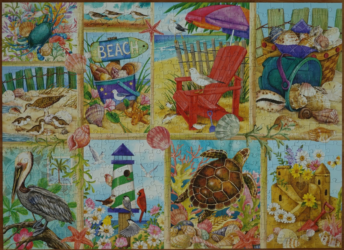 A collage of coastal and beach scenes featuring sea creatures, birds, and shells in an illustration style.
