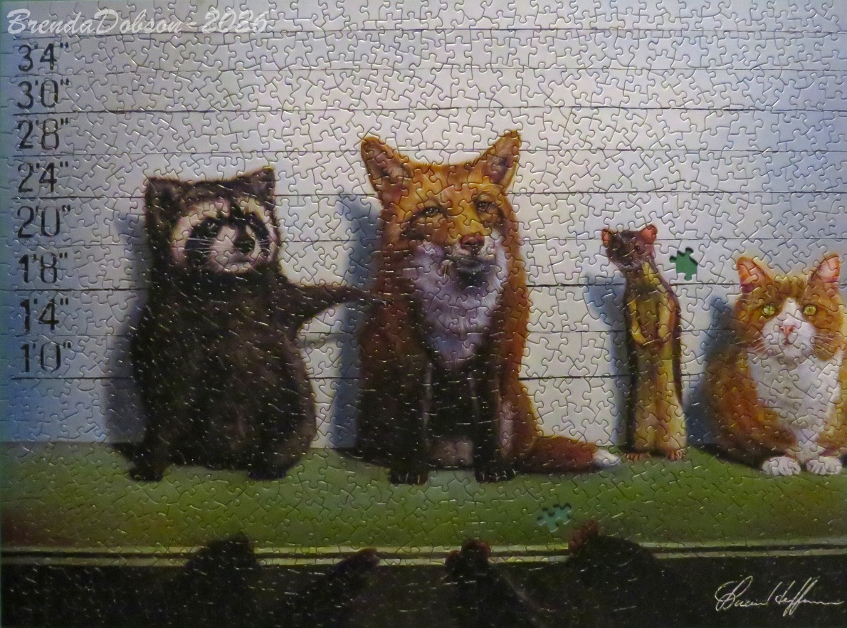 A police lineup featuring a raccoon, fox, weasel, and cat against a height chart wall.