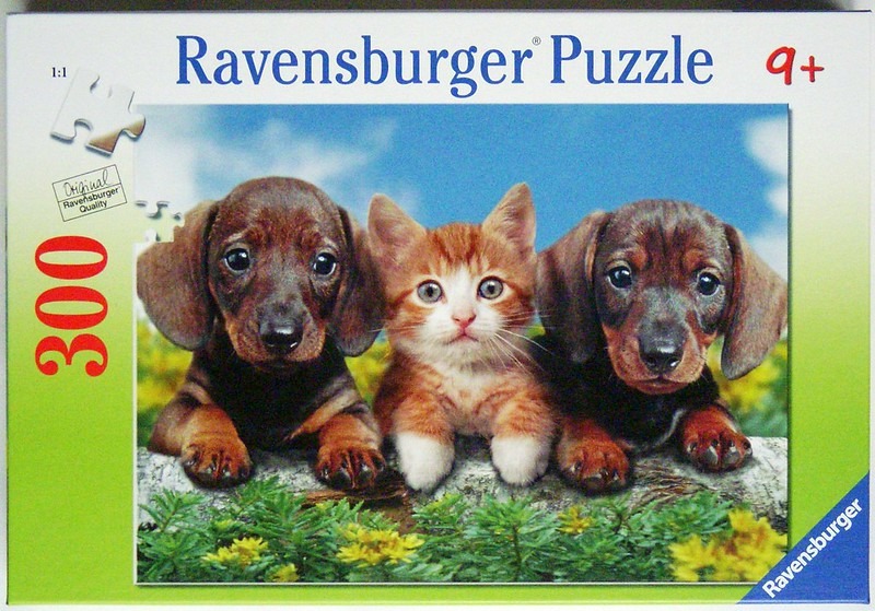 Two dachshund puppies flanking a ginger tabby kitten perched on a log