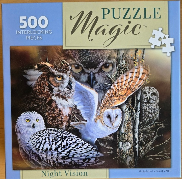 A collage of four different species of owls, including a snowy owl and a barn owl, set against a dark forest background.