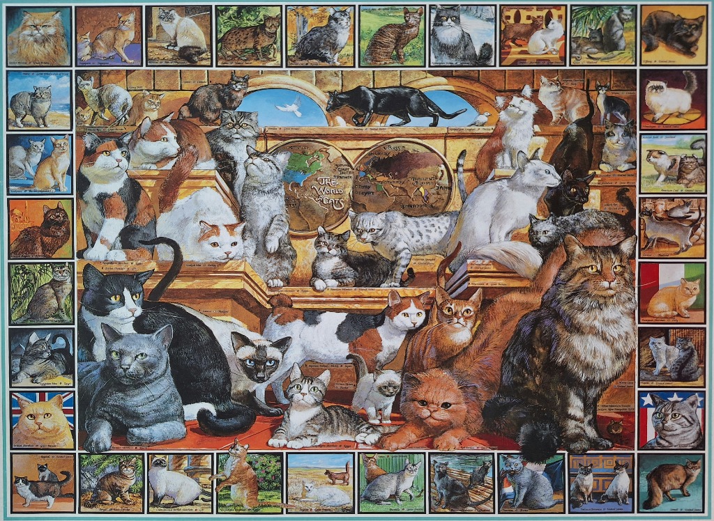 A collage of various cat breeds displayed against a backdrop of a world map and library setting.