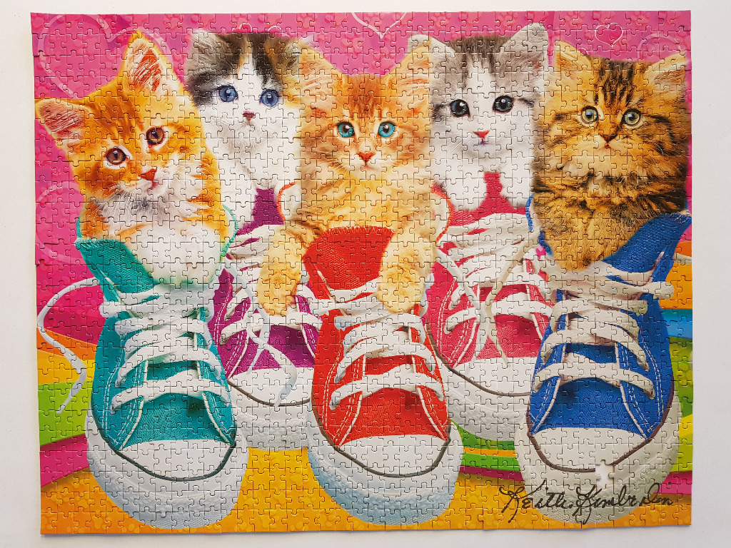 Five fluffy kittens sitting inside colorful canvas sneakers against a heart-patterned background