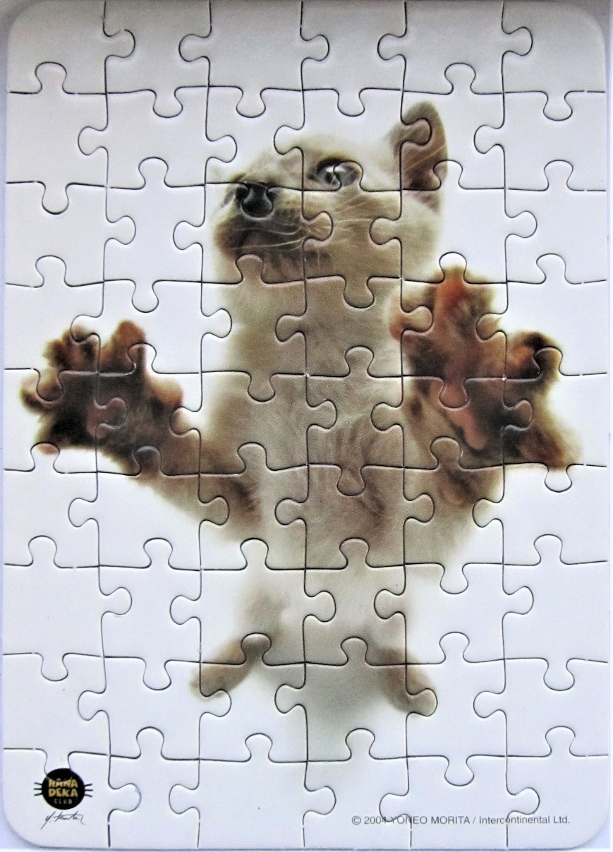 A close-up photograph of a light-colored kitten with paws pressed against a glass surface.