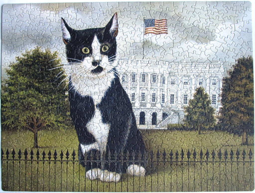 A black and white cat sitting on a lawn in front of the White House.