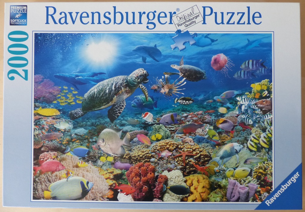 Underwater scene featuring a sea turtle, a lionfish, and a variety of colorful tropical fish over a vibrant coral reef.