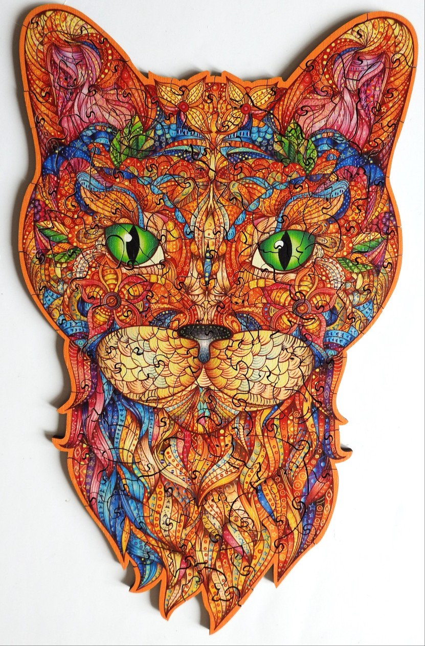 A vibrantly patterned, kaleidoscope-style illustration of a cat