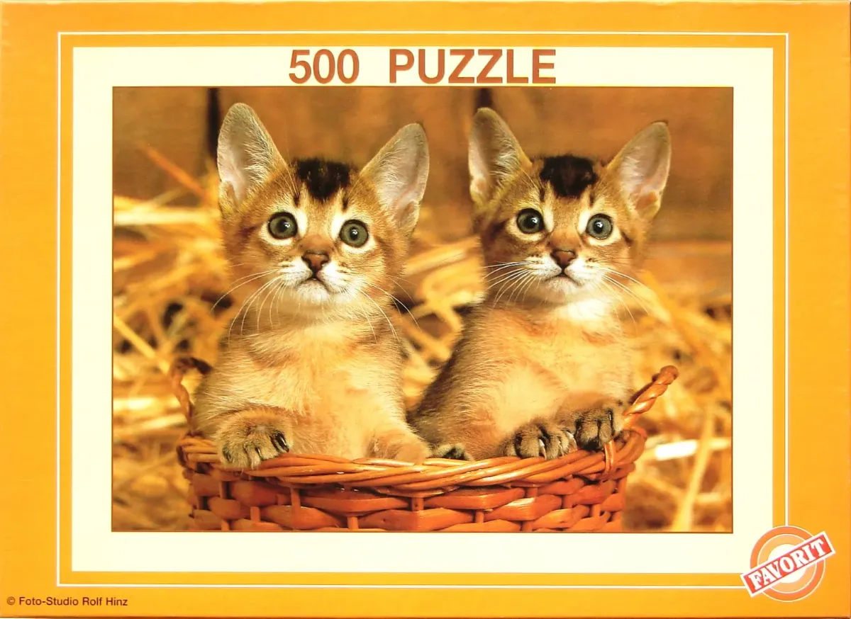Two Abyssinian kittens sitting together in a wicker basket filled with straw.