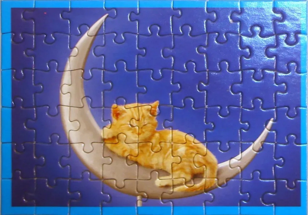 An illustration of an orange tabby kitten sleeping peacefully on a crescent moon against a deep blue sky.