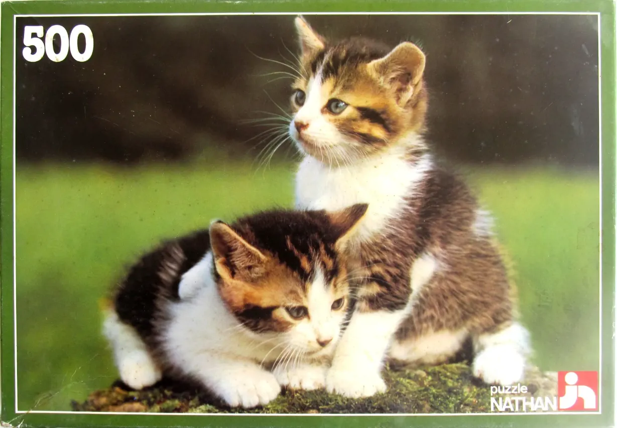 Two small calico kittens sitting together on a mossy log against a blurred green background.