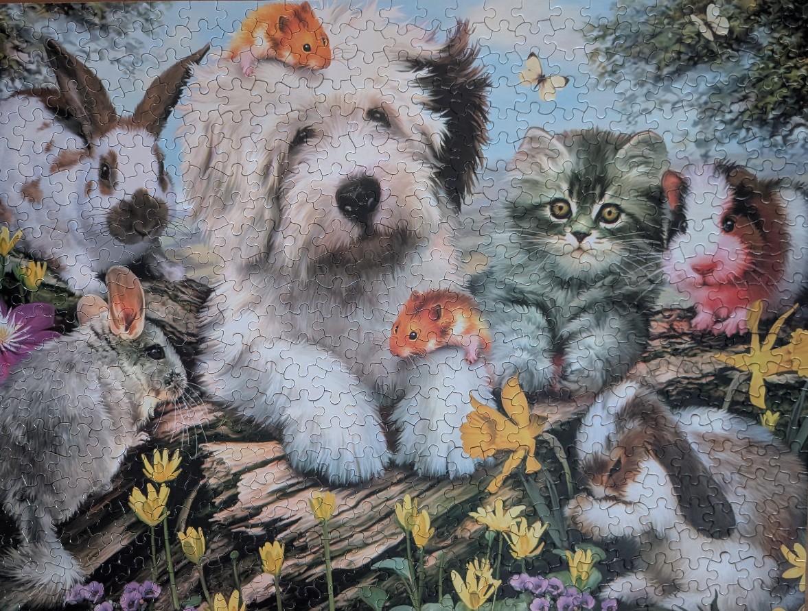 A group of fluffy animals including a dog, cat, bunnies, and hamsters in a forest setting with spring flowers.
