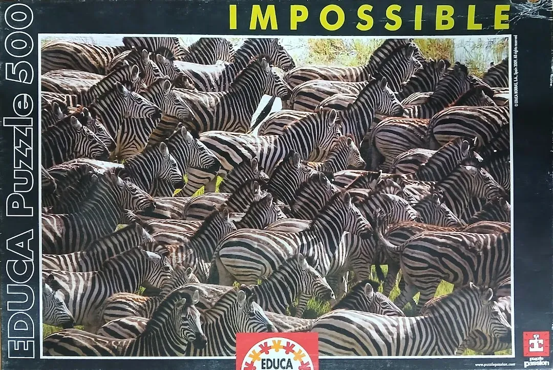 A dense herd of zebras crowded together, creating a complex pattern of black and white stripes.