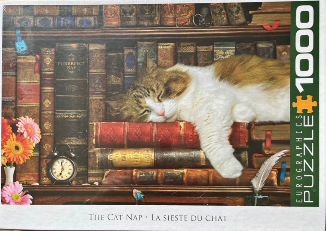 A tabby and white cat sleeping on a stack of antique books in a library setting.