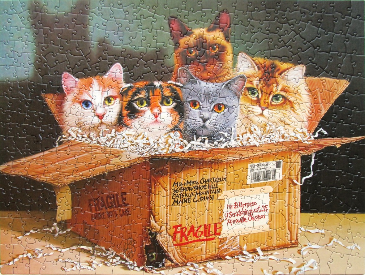 Five cats peeking out of a cardboard shipping box filled with packing paper shreds.