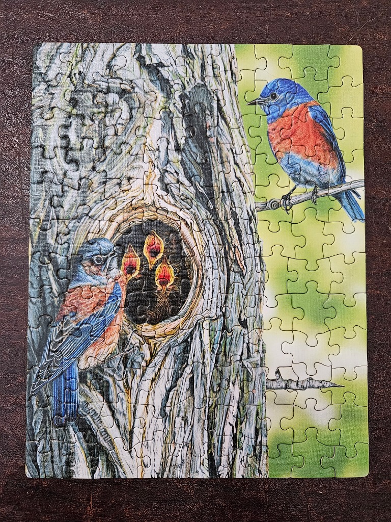An illustration of bluebirds at a tree hollow nest with three hungry chicks inside.