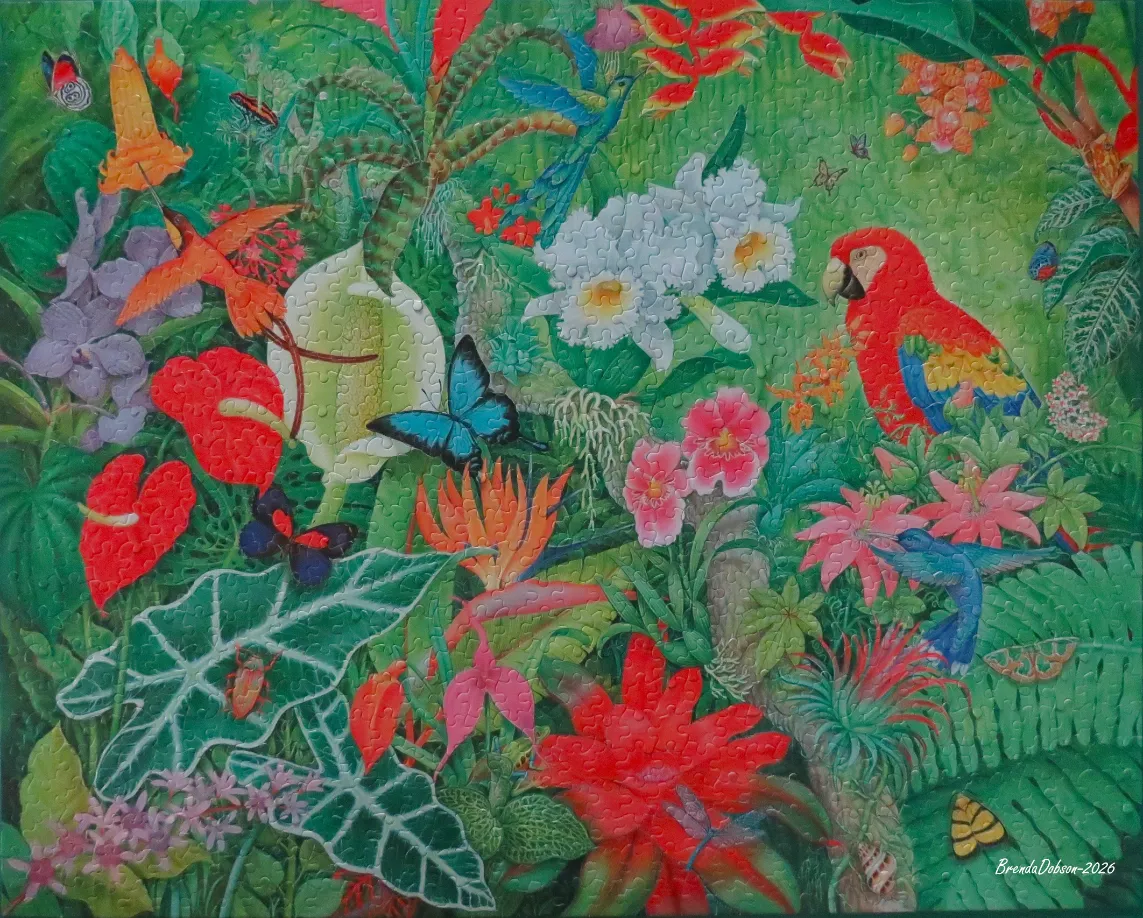 A lush tropical jungle scene featuring a red macaw, hummingbirds, butterflies, and vibrant exotic flowers.