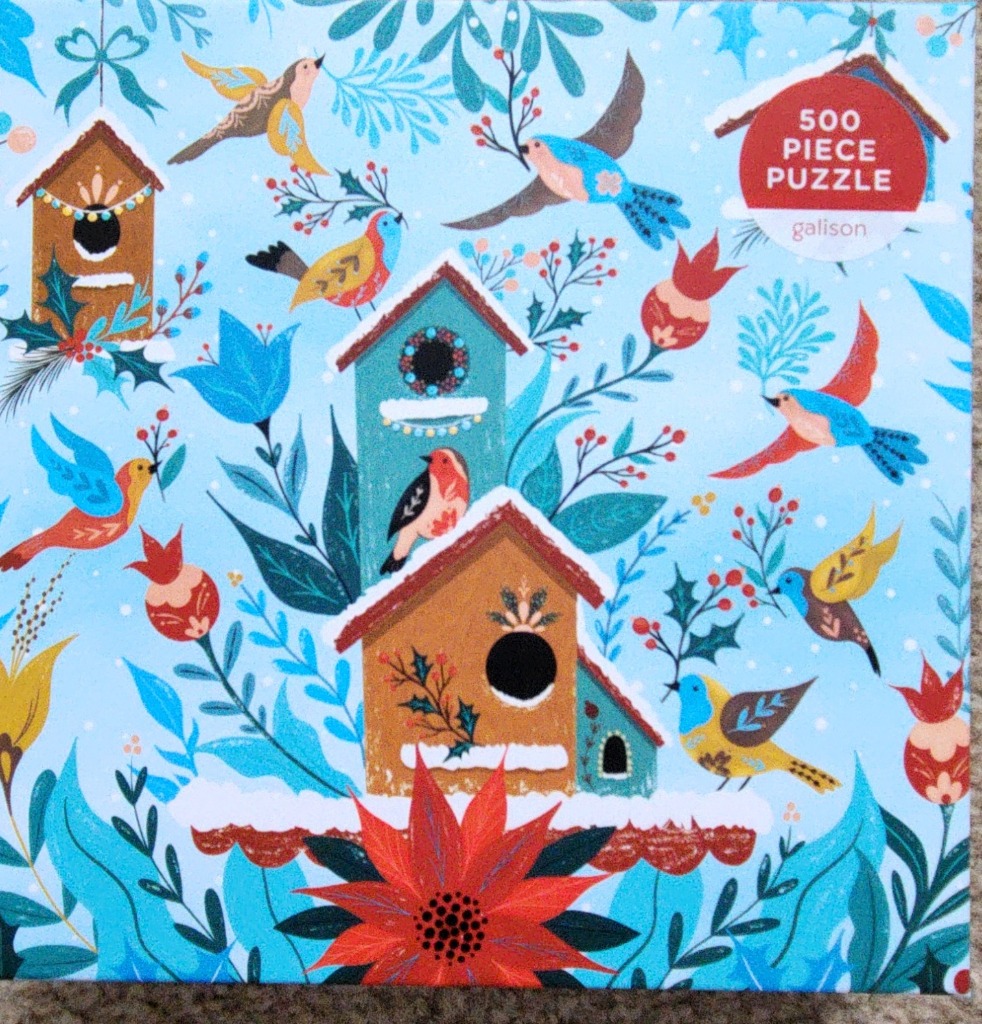 Winter scene illustration featuring colorful birds, birdhouses, and poinsettias against a light blue background.