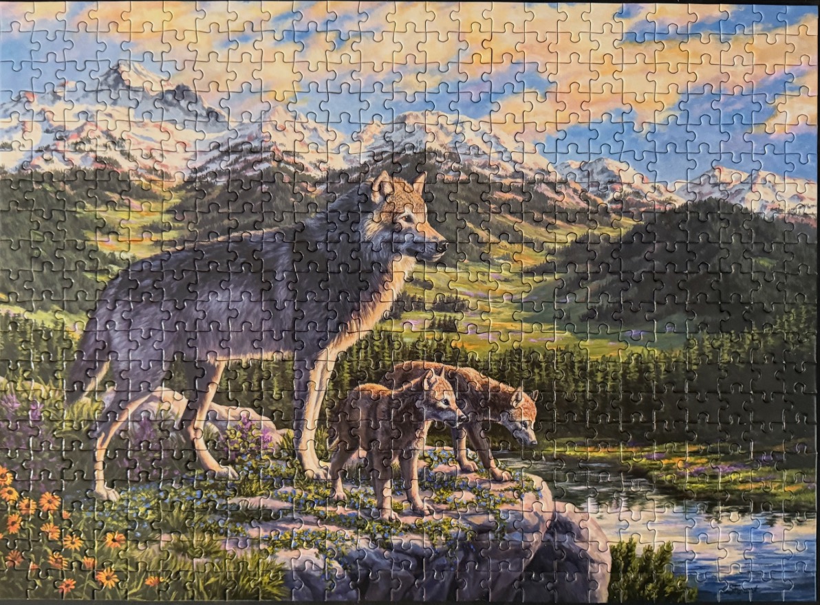 A large grey wolf and two pups standing on a rocky outcrop overlooking a mountain valley at sunset.