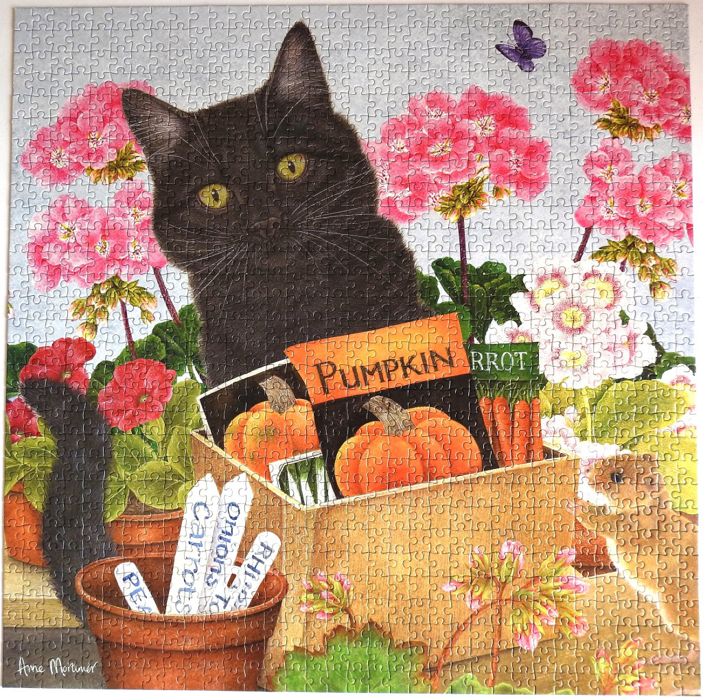 A black cat sitting behind a wooden crate filled with garden seed packets and terracotta pots with flowers.