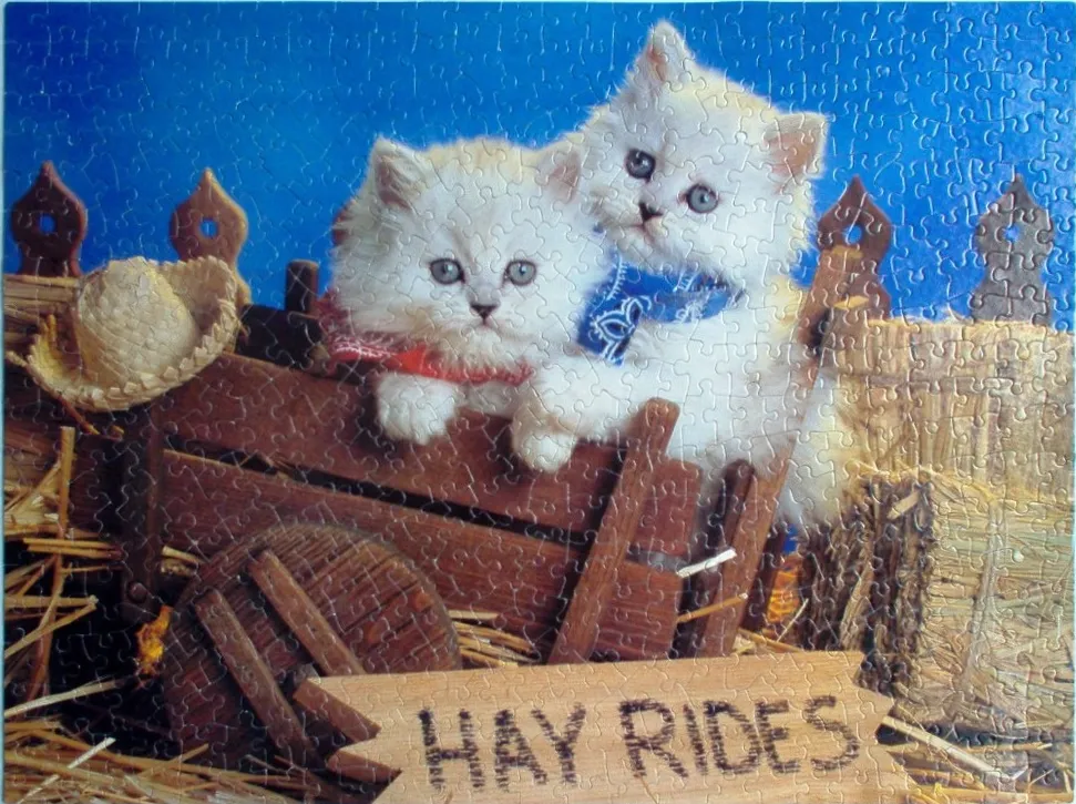 Two fluffy white kittens sitting in a wooden hay wagon against a bright blue background.