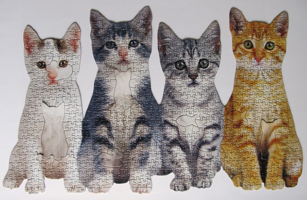 Four cat portraits in various colours arranged side-by-side on a plain background