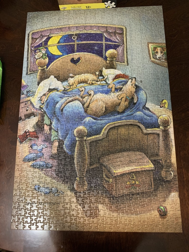A whimsical illustration of a dog and cat sleeping in a bed under a night sky seen through a window.