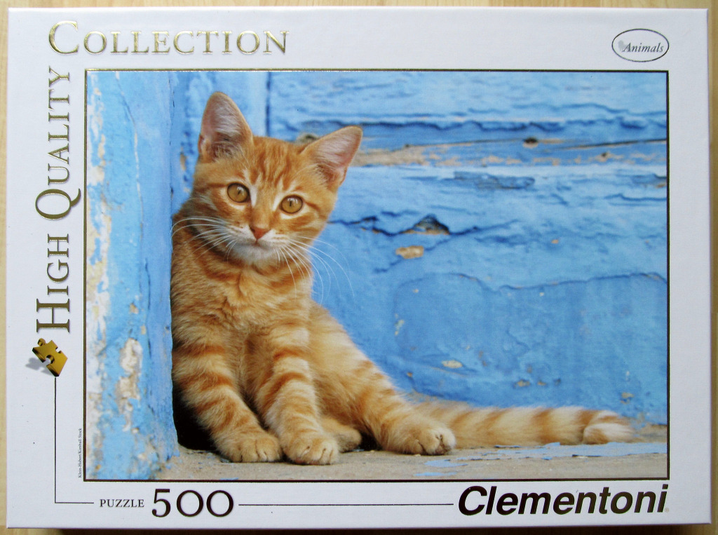 An orange tabby kitten sitting in the corner of a weathered blue wall.