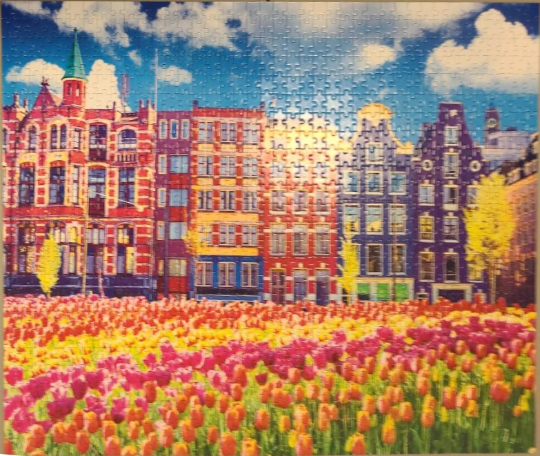 A row of colorful Amsterdam-style canal houses behind a vibrant field of multi-colored tulips under a sunny blue sky.