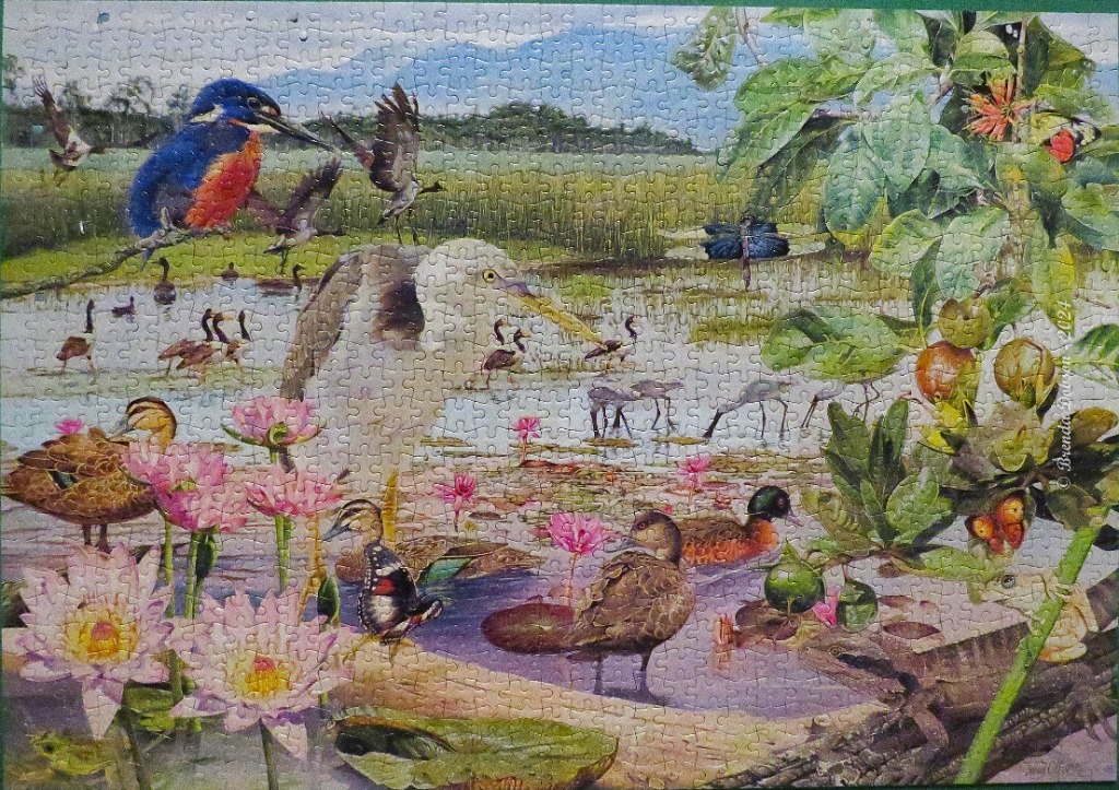 A lush wetland scene featuring a kingfisher, heron, ducks, water lilies, and a lizard in a detailed illustration.